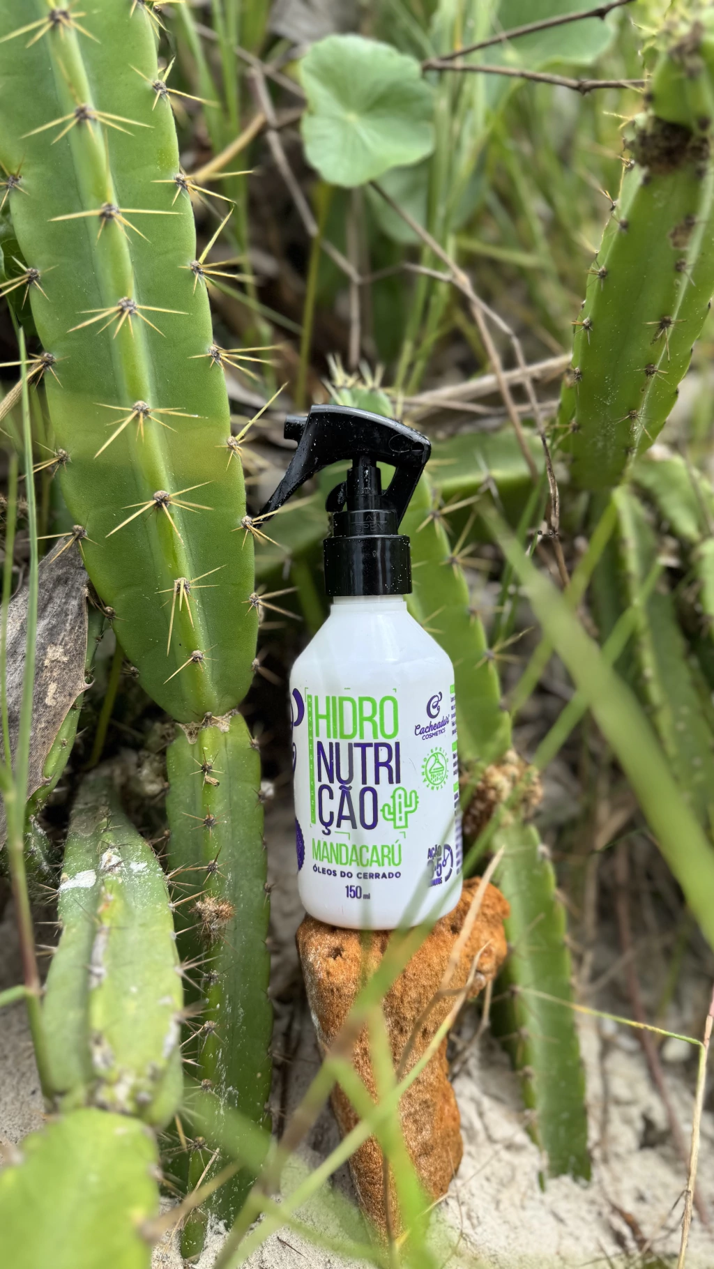 Hidronutrição de chuveiro Mandacarú 150ml - Controle de Frizz e resultado imediato - Imagem 6